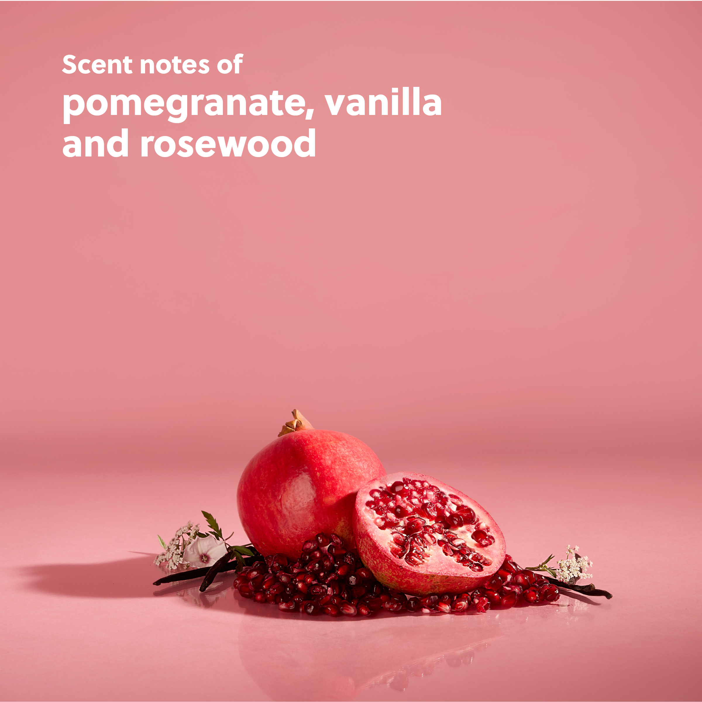 Pink Champagne Shea Sugar Scrub - Image 5
